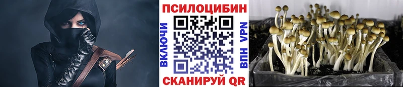 ОМГ ОМГ tor  магазин продажи наркотиков  Оленегорск  Псилоцибиновые грибы GOLDEN TEACHER 